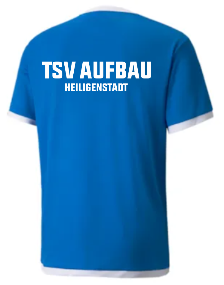 Blaue Rückseite des teamLIGA Herren Jerseys mit weißem Aufdruck 'TSV AUFBAU HEILIGENSTADT', weißen Ärmelbündchen und Kragenrand.