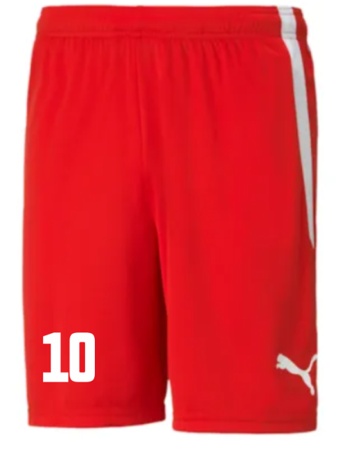 Puma-teamLIGA Shorts Jr TSV Aufbau 1952 Heiligenstadt 